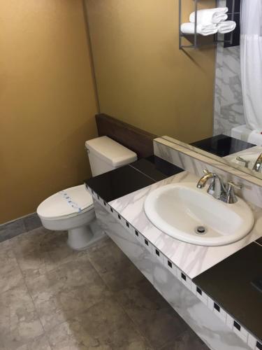 King Studio Suite - Non-Smoking