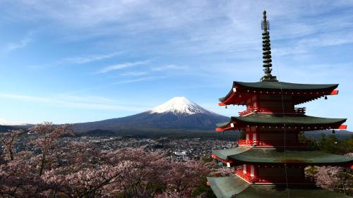 ホステル富士山 結