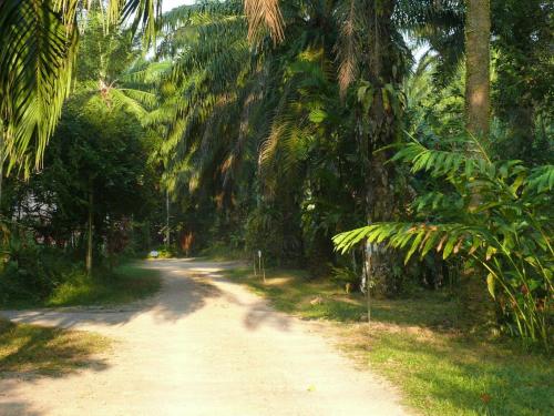 Suan Bang Bon Guest House