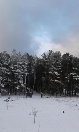 Cisarska sadyba - image 5