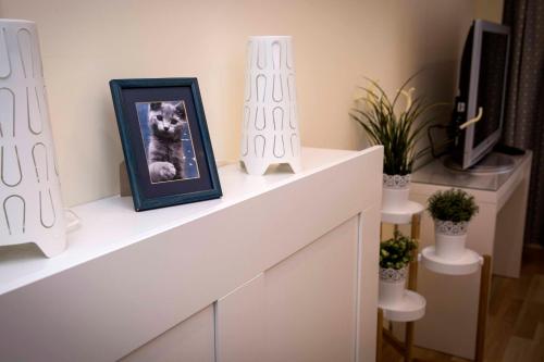 Amazing Apartment, City Centre, Modern, Elegant, Cozy, Cracovie (photo 8)