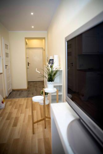 Amazing Apartment, City Centre, Modern, Elegant, Cozy, Cracovie (photo 9)