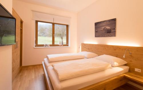 Verwall Apartments - image 5