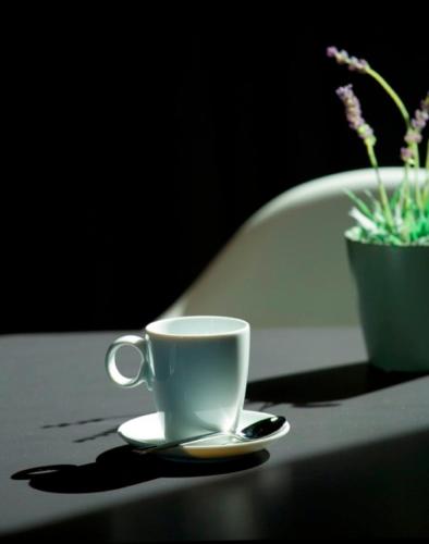 Hotel El Raset - main image