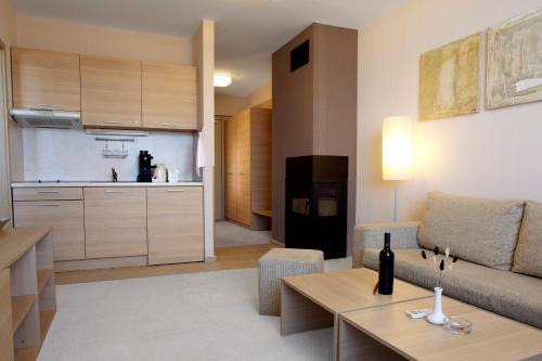 Standard Plus One-Bedroom Apartment image 6