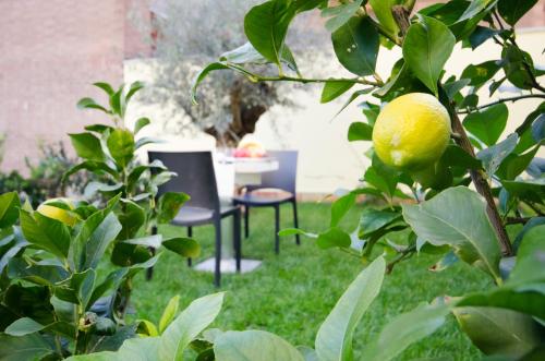 Corte Maggiore - image 2