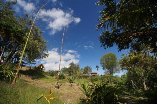 The Plantation House Travellers Hostel