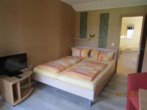 Pension Willischza