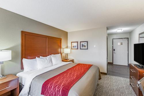Comfort Inn In Ia