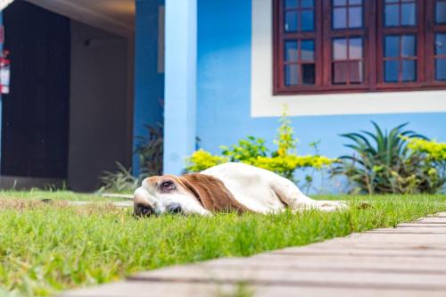 Have, Hotel Maculis in Campeche