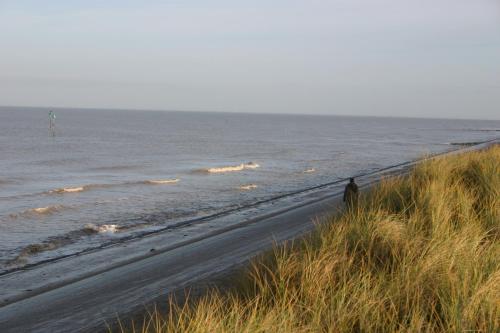 Beach Links - image 4