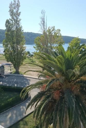Apartments by the sea Kampor Rab - 12473 - image 6