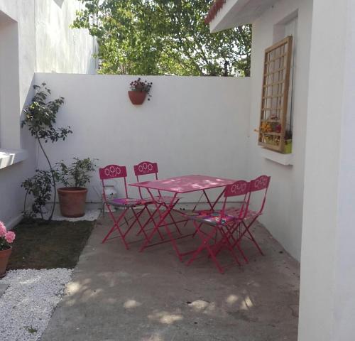 studio jardin