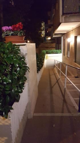 Starry Rome Guest House - 전망