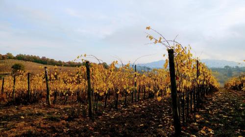 Agriturismo San Gregorio