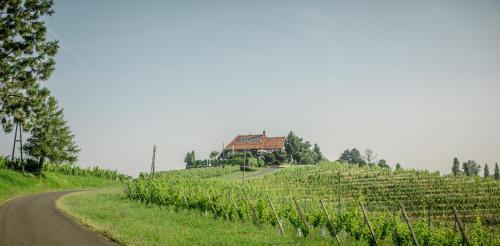 Novak Marjan s.p. - Gostišče taverna