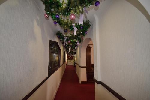 Riviera Hotel - image 10