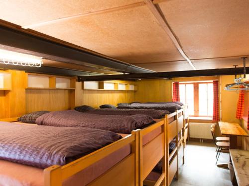 Bed in 14-Bed Mixed Dormitory Room