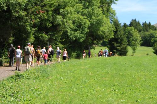 Camping Les Vernieres - image 14