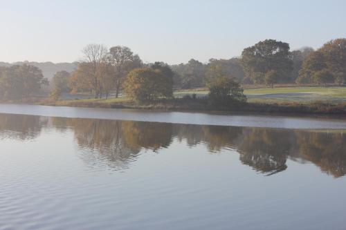 Lakeside Park Hotel & Spa - image 3