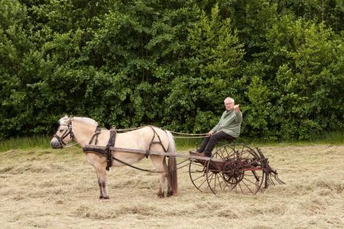 Bed & breakfast Hoeve Springendal - main image