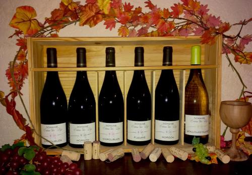 Domaine Du Coteau Des Lys - image 7