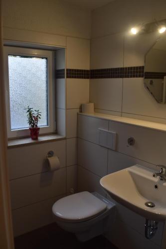 Ferienwohnung Seebachstr., Drážďany (fotografie 10)