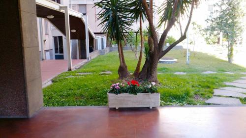 Coppola myHouse - image 5