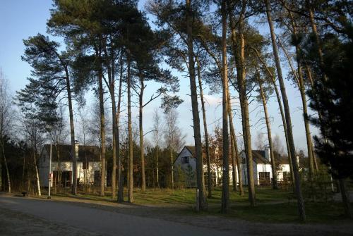 Sunparks Kempense Meren - image 14