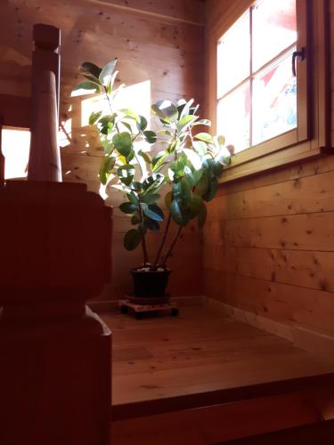 Hotels Image