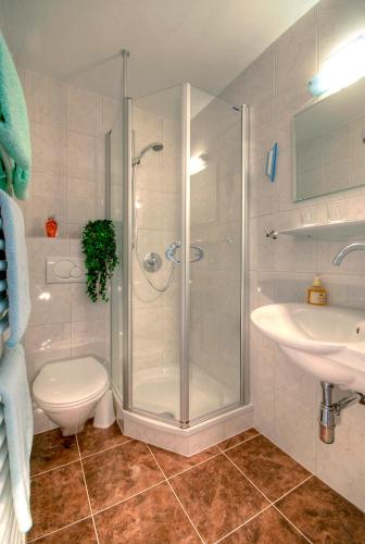 Pension Achensee in Alpbach