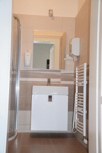 Palackeho Apartment, Praha (fotografie 8)