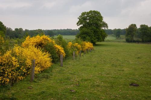 Bed & breakfast Hoeve Springendal - image 5