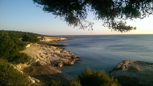 Mer et Soleil in Sausset-Les-Pins