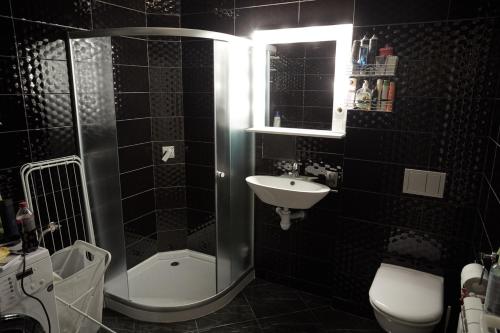 Fancy Appartment in the heart of Kiew