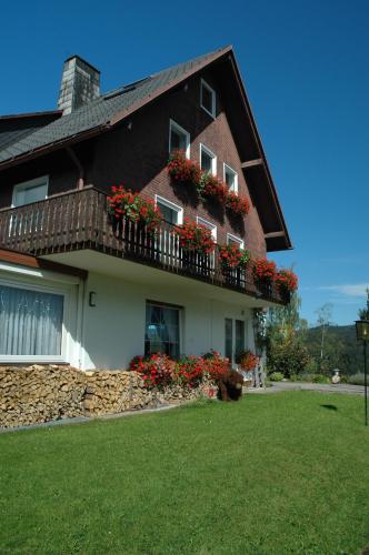 Hotel Diana - image 12