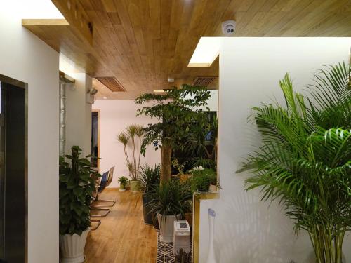 A szálláshely kívülről, Rock & Wood Cozy House near Lei Feng Pagoda