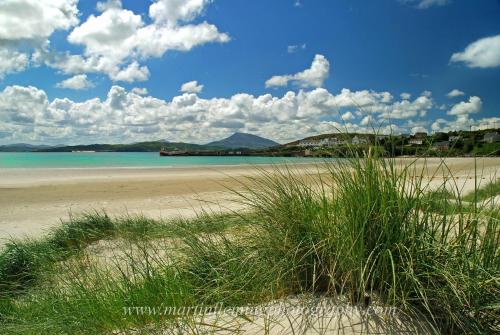 Downings Bay Hotel - image 12