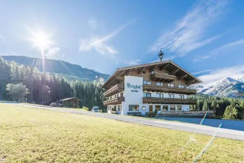 Almliesl HOLL-556 in Hollersbach im Pinzgau, Österreich