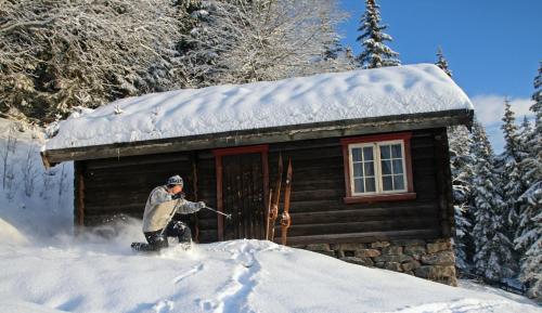 Morgedal Hotel - image 14