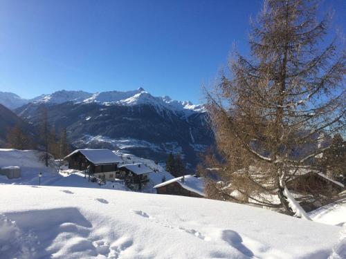Alpenparadies - image 5