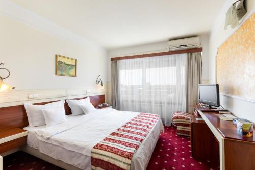 Hotel Prahova Plaza - image 7