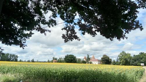 Château de Lastours photo 22