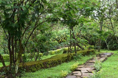 Red Rocks Rwanda - Campsite & Guesthouse