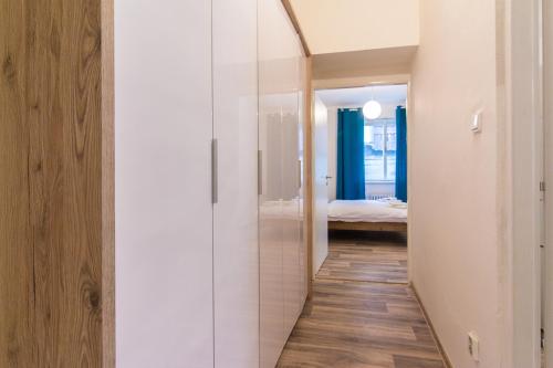 Karlova Apartment, Praga (foto 6)