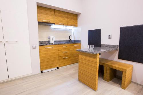 Pushkinskaya Apartments - image 4