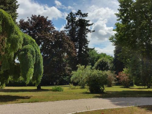 Skats, Au Cocon de Sologne in Soings-en-Sologne
