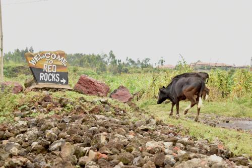 Red Rocks Rwanda - Campsite & Guesthouse