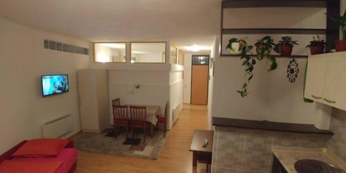 Apartments Dino - image 8