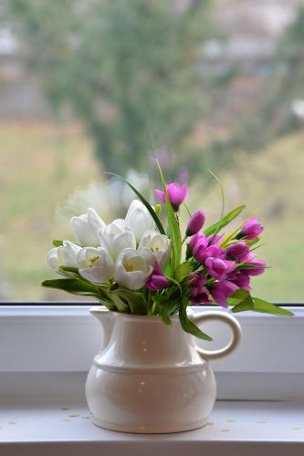 Apartment Xenia in Detelinara